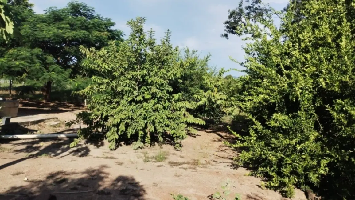 Foto 3 de Chácara à venda, 11m2 em Israelandia - GO