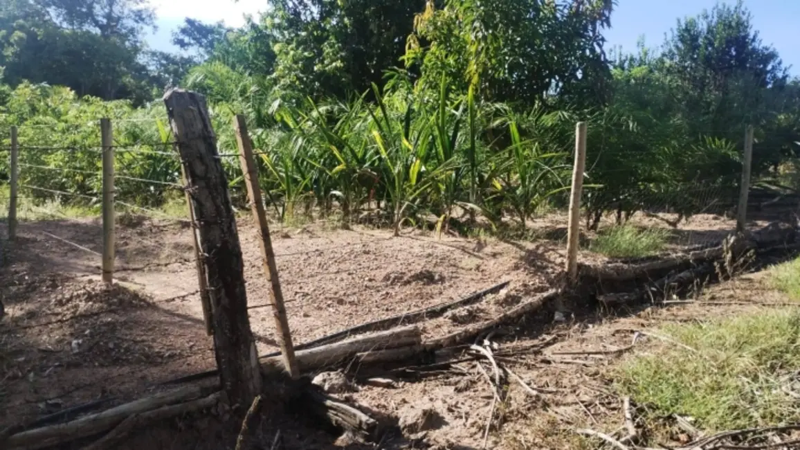 Foto 2 de Chácara à venda, 11m2 em Israelandia - GO