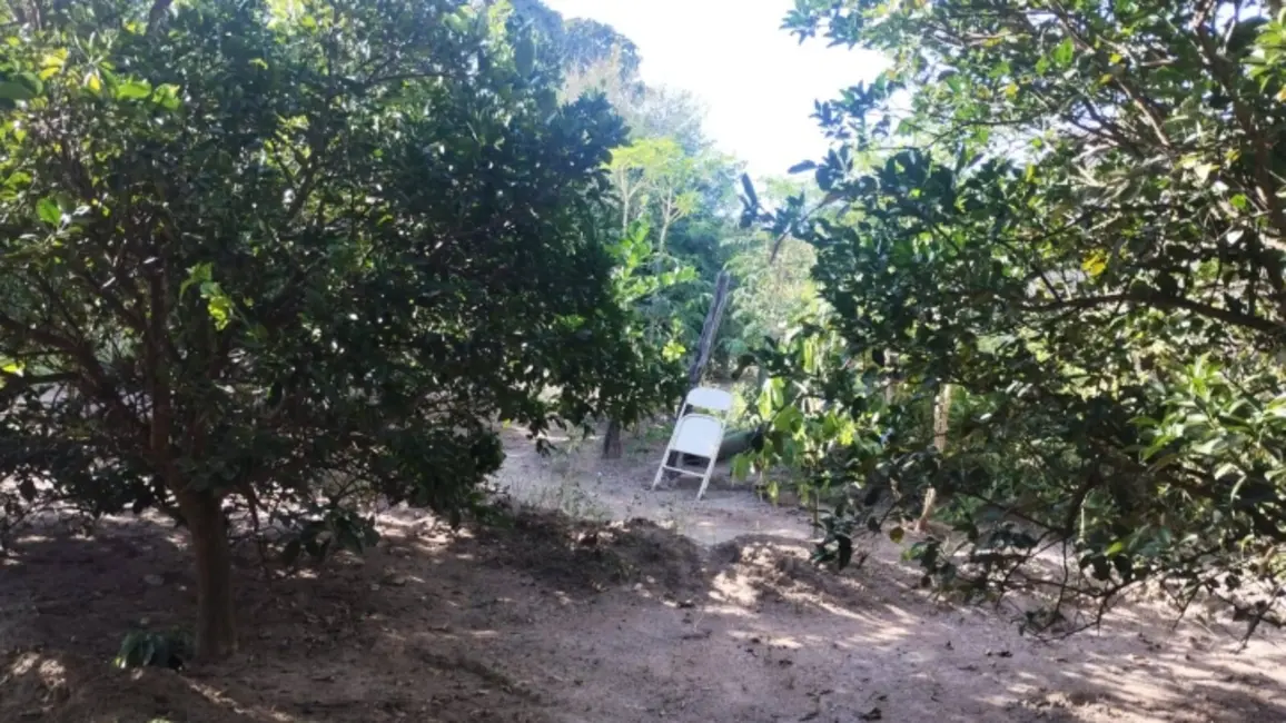 Foto 6 de Chácara à venda, 11m2 em Israelandia - GO