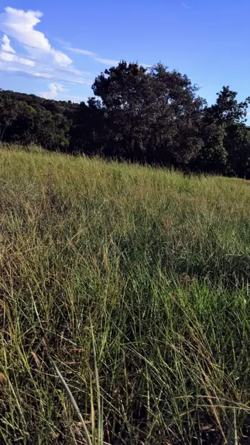 Foto 4 de Chácara à venda, 11m2 em Israelandia - GO