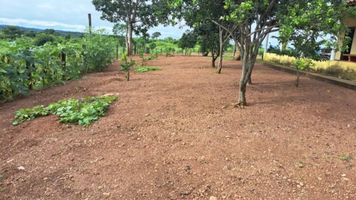Foto 1 de Fazenda / Haras à venda, 94m2 em Confresa - MT