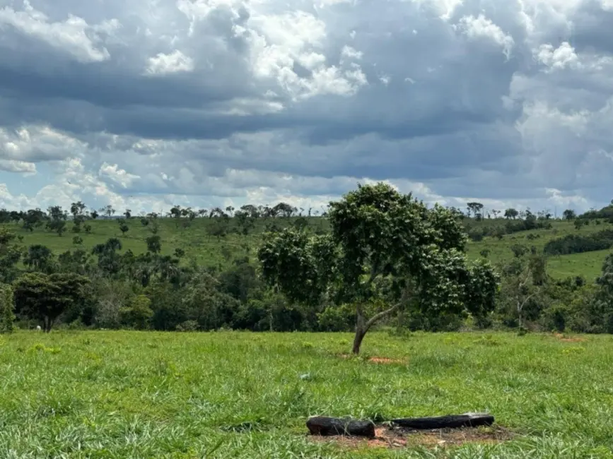 Fazenda / Haras à venda, 1936m2 em Primavera Do Leste - MT - imagem 4 Foto 4 de Fazenda / Haras à venda, 1936m2 em Primavera Do Leste - MT