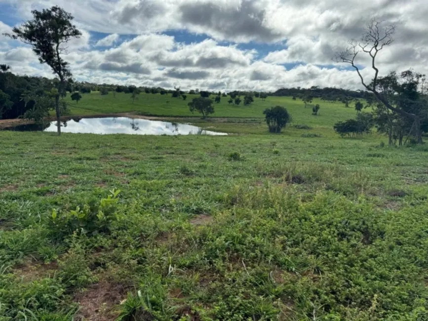 Fazenda / Haras à venda, 1936m2 em Primavera Do Leste - MT - imagem 9 Foto 9 de Fazenda / Haras à venda, 1936m2 em Primavera Do Leste - MT