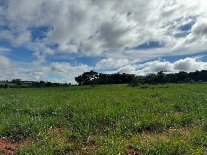 Foto 2 de Fazenda / Haras à venda, 1936m2 em Primavera Do Leste - MT