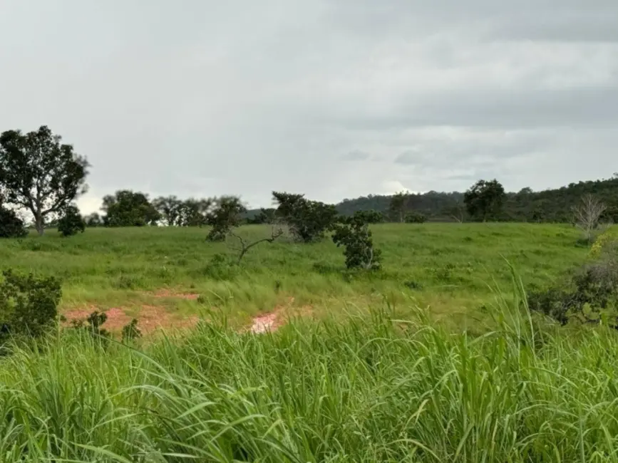 Fazenda / Haras à venda, 1936m2 em Primavera Do Leste - MT - imagem 7 Foto 7 de Fazenda / Haras à venda, 1936m2 em Primavera Do Leste - MT