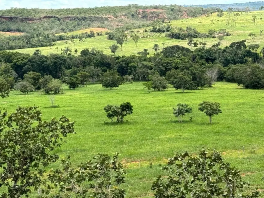 Foto 1 de Fazenda / Haras à venda, 1936m2 em Primavera Do Leste - MT