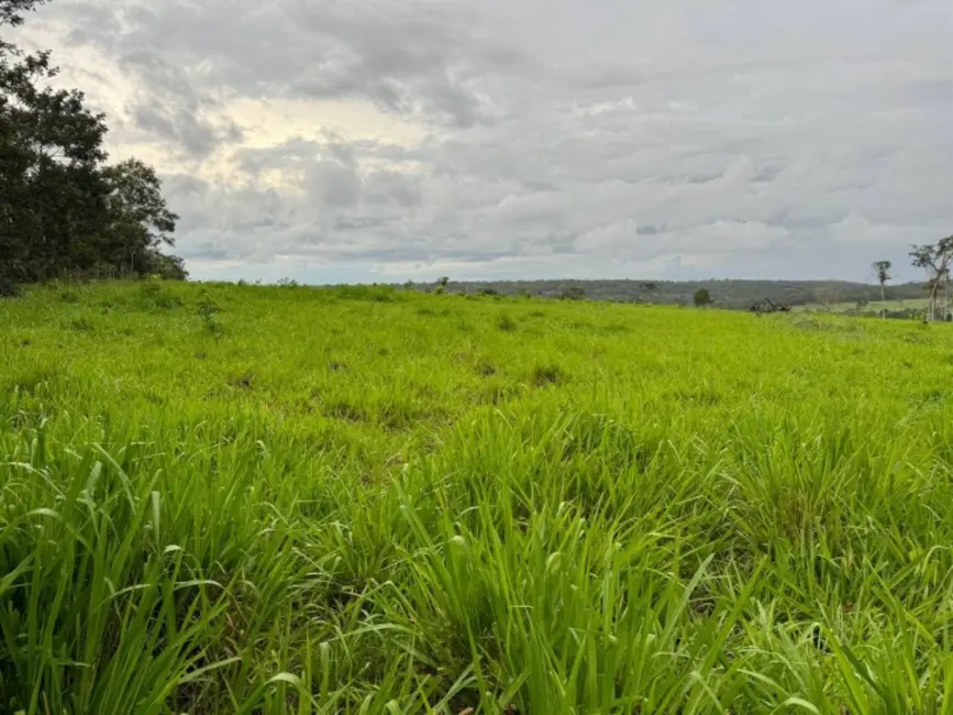 Fazenda / Haras à venda, 1936m2 em Primavera Do Leste - MT - imagem 3 Foto 3 de Fazenda / Haras à venda, 1936m2 em Primavera Do Leste - MT