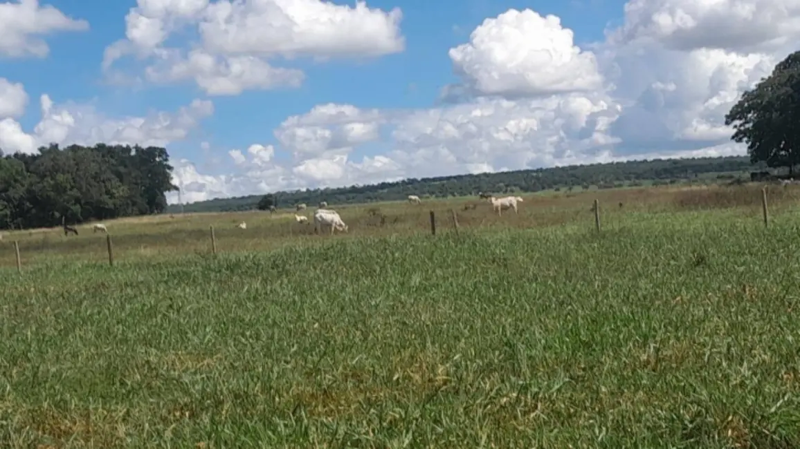 Foto 7 de Chácara com 3 quartos à venda, 18m2 em Montes Claros De Goias - GO