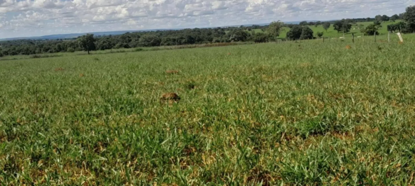 Foto 5 de Chácara com 3 quartos à venda, 18m2 em Montes Claros De Goias - GO
