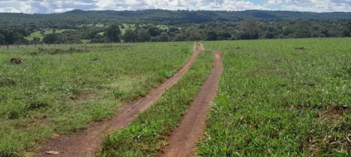 Foto 1 de Sítio / Rancho à venda, 18m2 em Montes Claros De Goias - GO