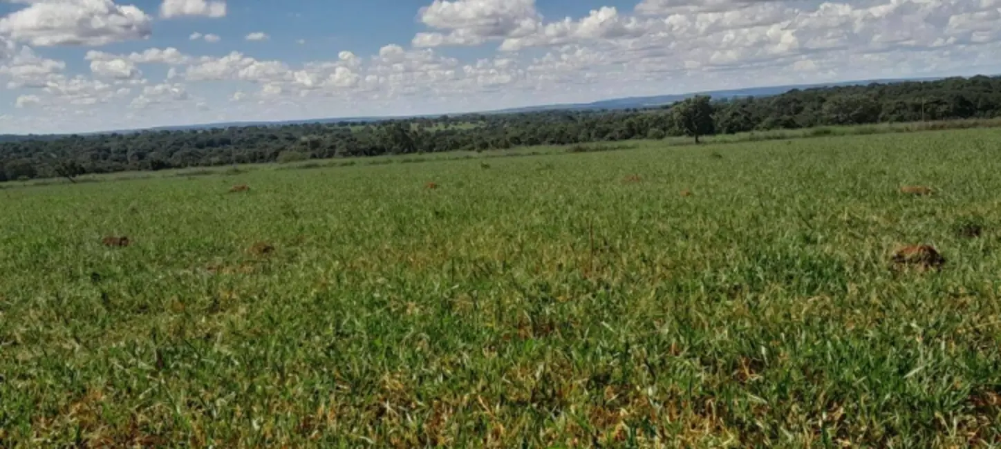 Foto 4 de Chácara com 3 quartos à venda, 18m2 em Montes Claros De Goias - GO