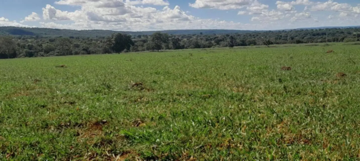 Foto 3 de Chácara com 3 quartos à venda, 18m2 em Montes Claros De Goias - GO