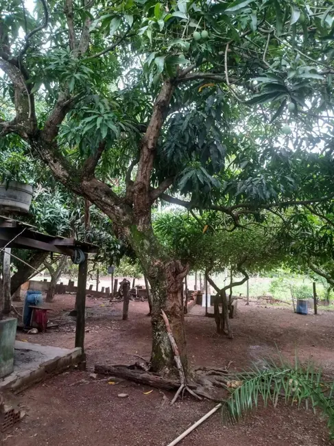 Foto 2 de Chácara à venda, 8m2 em Ipora - GO