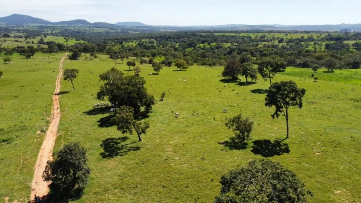 Chácara à venda, 8m2 em Ipora - GO - imagem 6 Foto 6 de Chácara à venda, 8m2 em Ipora - GO