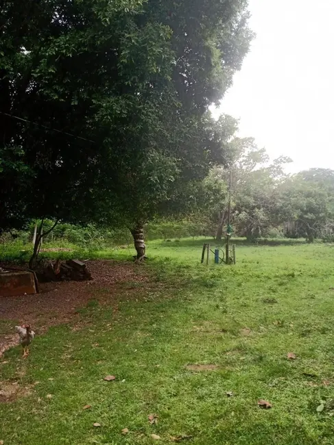 Chácara à venda, 8m2 em Ipora - GO - imagem 7 Foto 7 de Chácara à venda, 8m2 em Ipora - GO