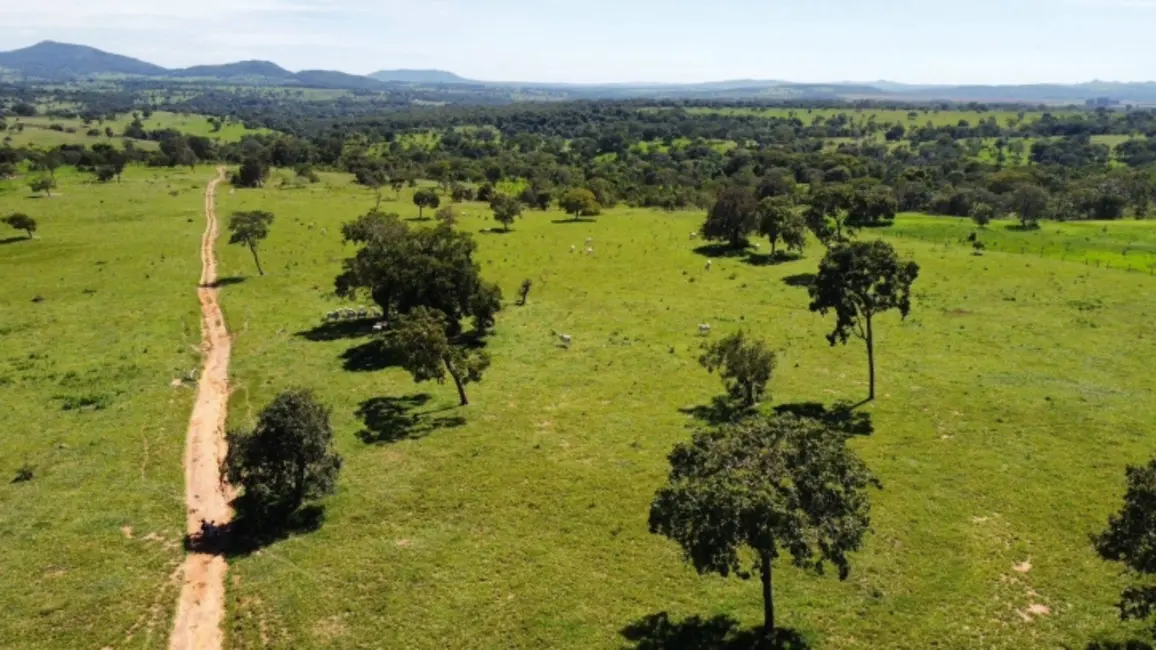 Chácara à venda, 8m2 em Ipora - GO - imagem 5 Foto 5 de Chácara à venda, 8m2 em Ipora - GO