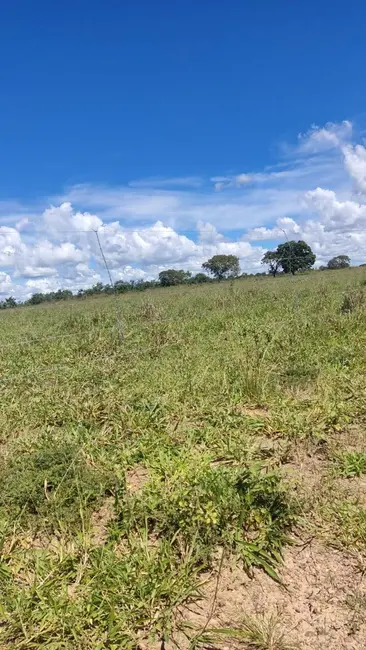 Foto 1 de Fazenda / Haras à venda, 28m2 em Jaragua - GO