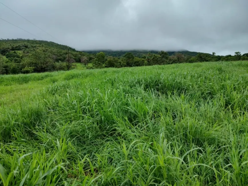 Foto 2 de Fazenda / Haras à venda, 32m2 em Bom Jardim De Goias - GO