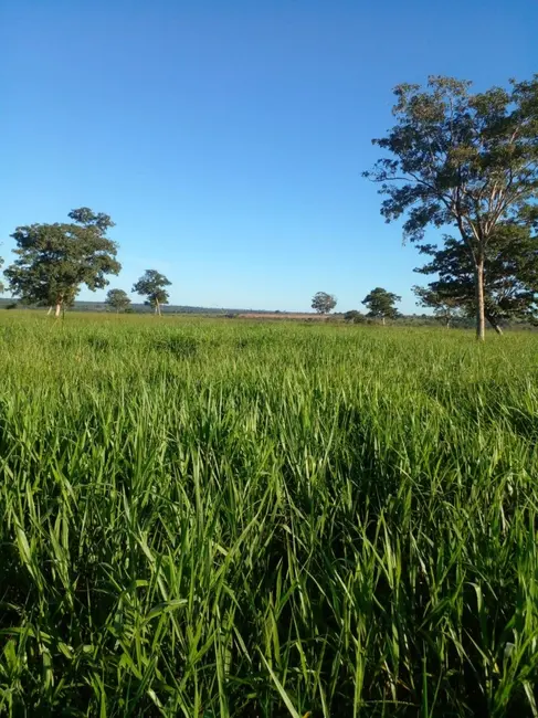Foto 1 de Fazenda / Haras à venda, 32m2 em Bom Jardim De Goias - GO