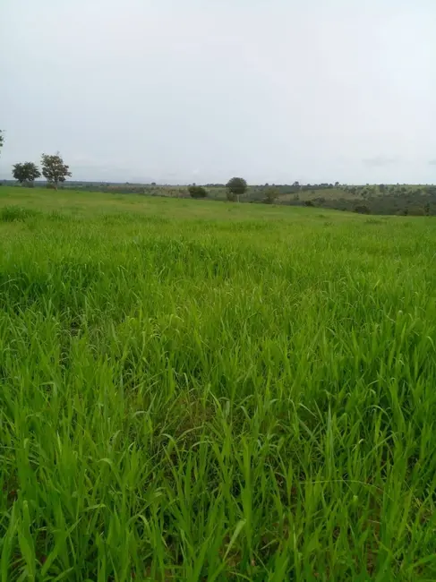 Foto 3 de Fazenda / Haras à venda, 32m2 em Bom Jardim De Goias - GO