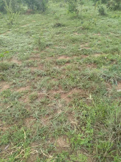 Foto 2 de Sítio / Rancho com 2 quartos à venda, 20m2 em Arenopolis - GO