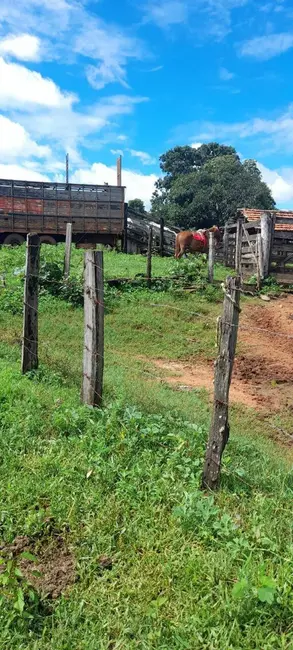 Foto 7 de Sítio / Rancho com 2 quartos à venda, 20m2 em Arenopolis - GO