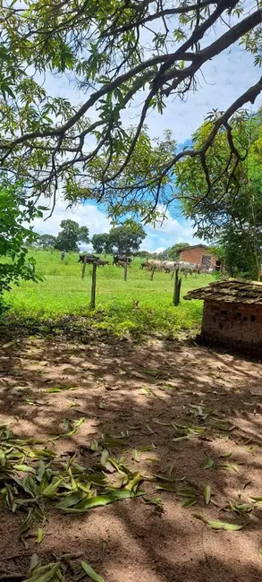 Foto 9 de Sítio / Rancho com 2 quartos à venda, 20m2 em Arenopolis - GO