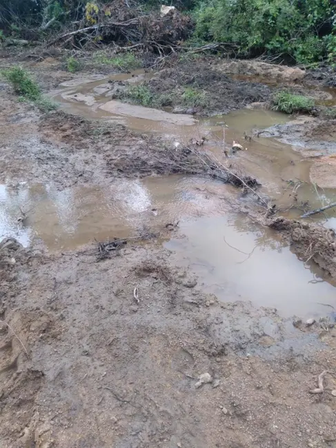 Foto 6 de Sítio / Rancho com 2 quartos à venda, 20m2 em Arenopolis - GO