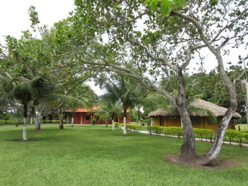 Foto 1 de Fazenda / Haras à venda, 1150m2 em Sao Miguel Do Araguaia - GO