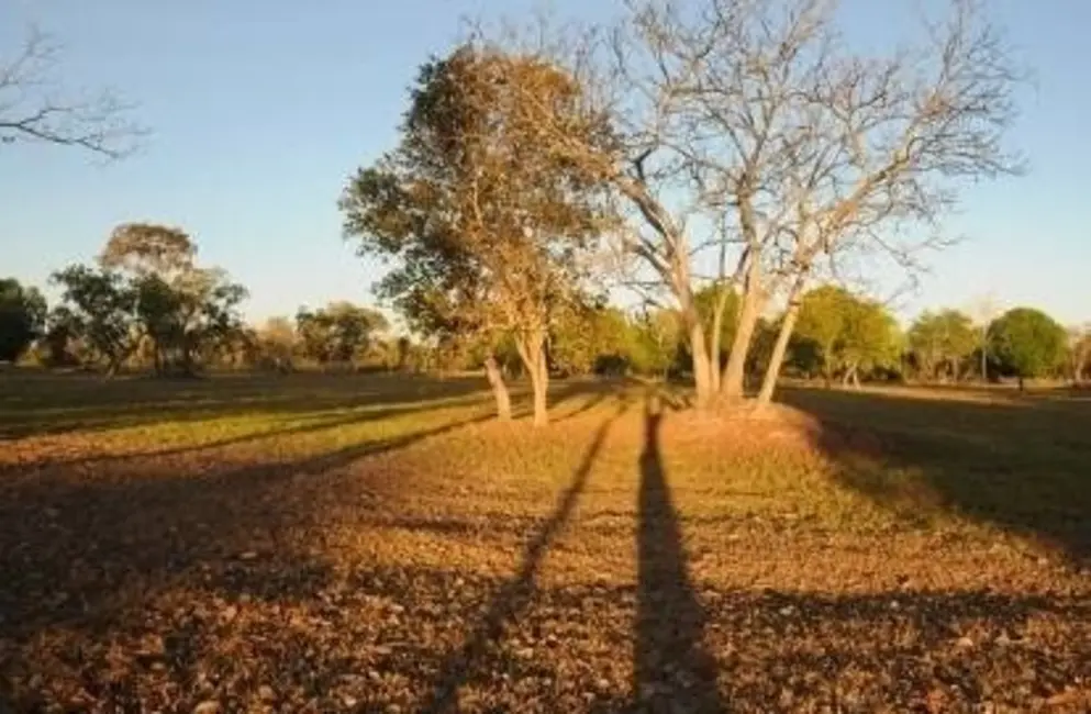Foto 3 de Fazenda / Haras à venda, 1150m2 em Sao Miguel Do Araguaia - GO