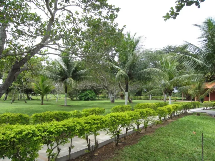 Foto 7 de Fazenda / Haras à venda, 1150m2 em Sao Miguel Do Araguaia - GO