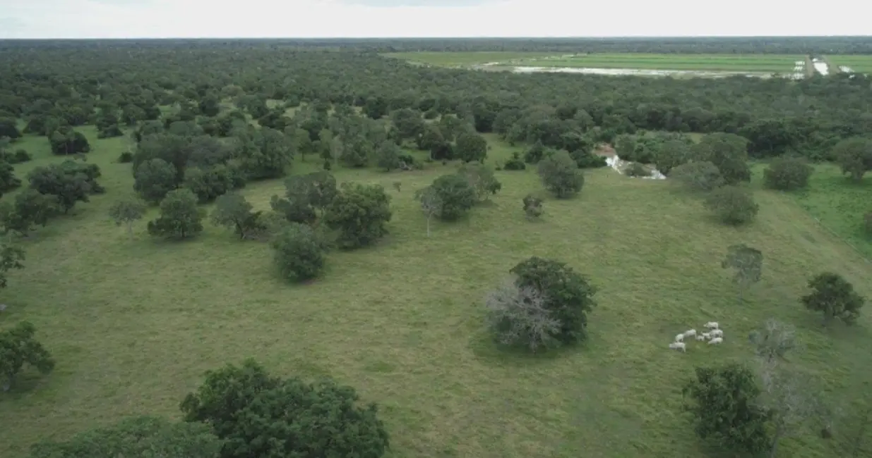 Foto 4 de Fazenda / Haras à venda, 1150m2 em Sao Miguel Do Araguaia - GO