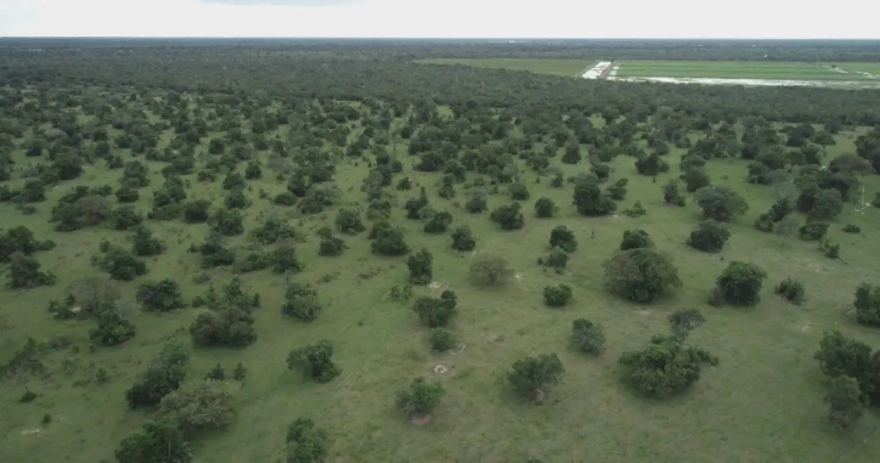 Foto 8 de Fazenda / Haras à venda, 1150m2 em Sao Miguel Do Araguaia - GO