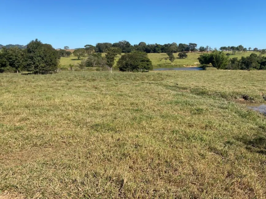 Foto 3 de Chácara à venda em Taquaral De Goias - GO
