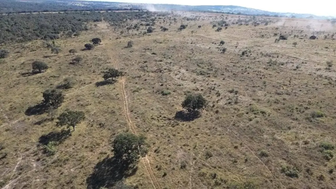 Foto 2 de Fazenda / Haras à venda, 30m2 em Parauna - GO
