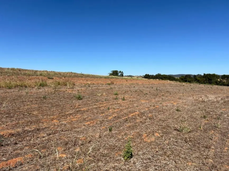 Foto 7 de Fazenda / Haras à venda, 62m2 em Piracanjuba - GO