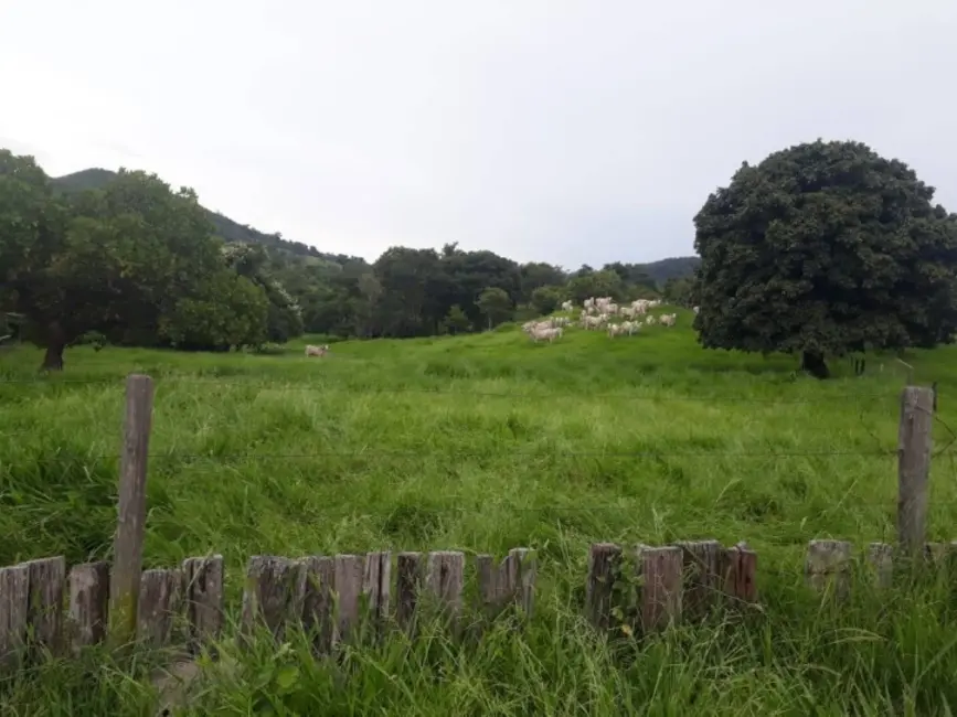 Foto 7 de Chácara com 2 quartos à venda em Novo Brasil - GO