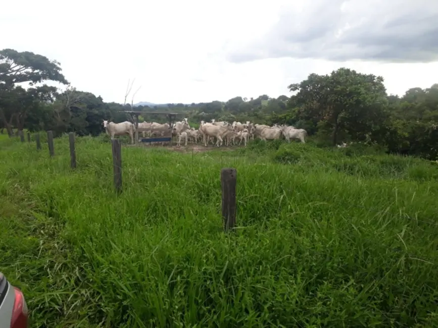 Foto 4 de Chácara com 2 quartos à venda em Novo Brasil - GO