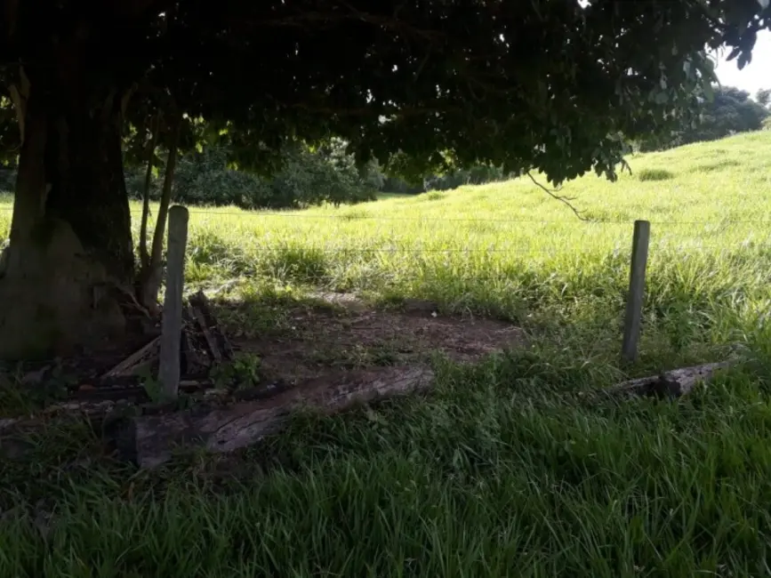 Foto 3 de Chácara com 2 quartos à venda em Novo Brasil - GO