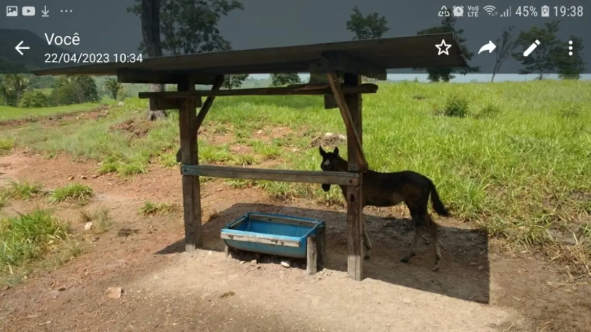 Foto 9 de Chácara com 2 quartos à venda em Novo Brasil - GO