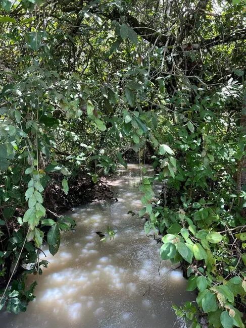 Foto 6 de Fazenda / Haras à venda, 3463m2 em Parana - TO