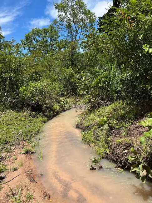 Foto 4 de Fazenda / Haras à venda, 3463m2 em Parana - TO
