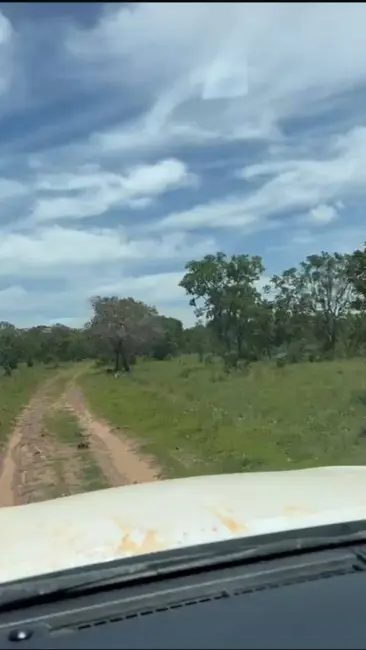 Foto 5 de Fazenda / Haras à venda, 3463m2 em Parana - TO