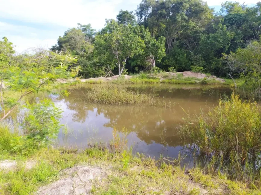 Chácara à venda, 9m2 em Ipora - GO - imagem 6 Foto 6 de Chácara à venda, 9m2 em Ipora - GO