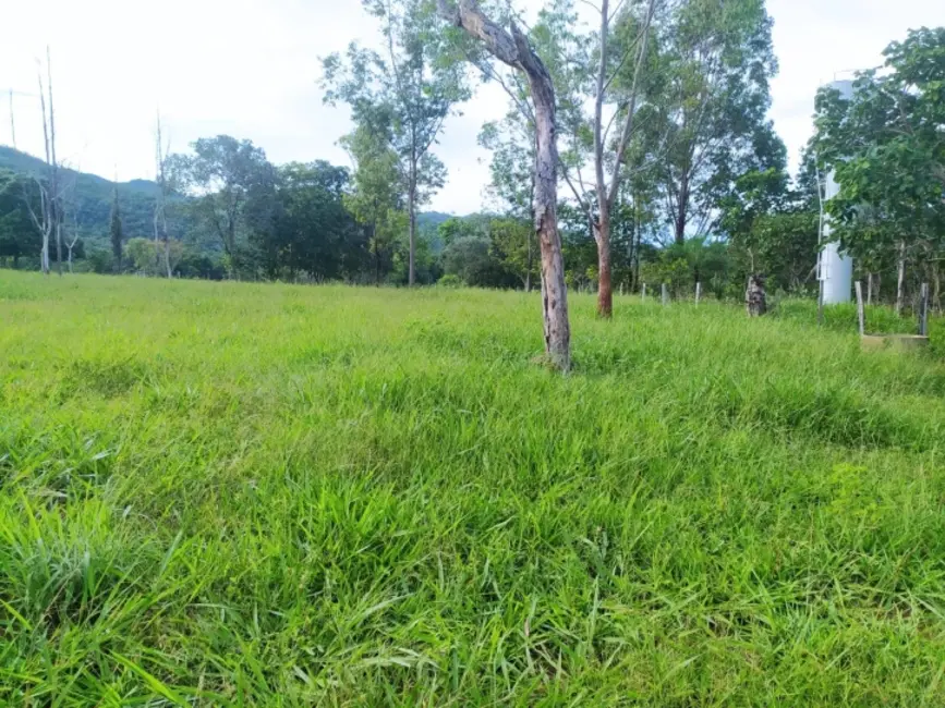 Chácara à venda, 9m2 em Ipora - GO - imagem 7 Foto 7 de Chácara à venda, 9m2 em Ipora - GO