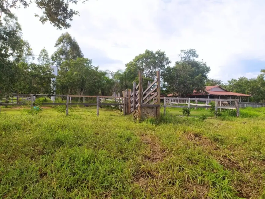 Chácara à venda, 9m2 em Ipora - GO - imagem 4 Foto 4 de Chácara à venda, 9m2 em Ipora - GO