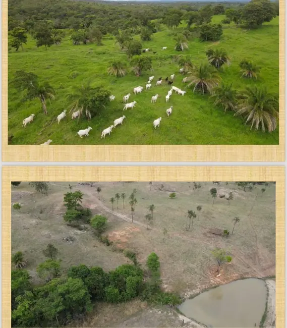 Foto 2 de Fazenda / Haras à venda, 66m2 em Buriti De Goias - GO
