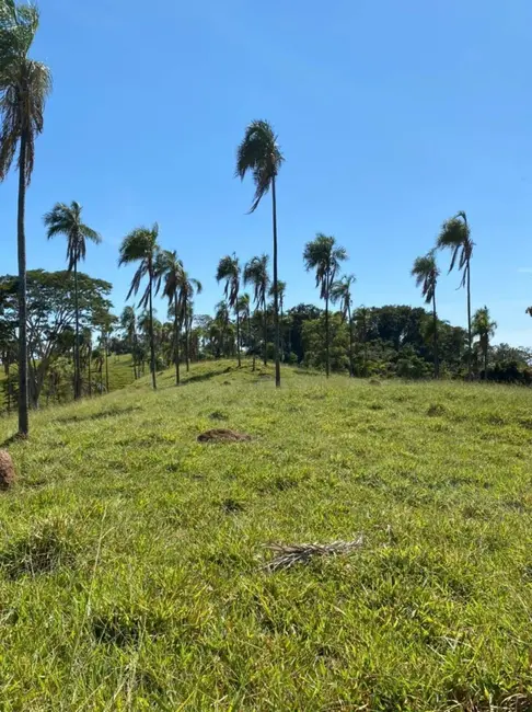 Foto 7 de Fazenda / Haras com 4 quartos à venda, 308m2 em Sao Luis De Montes Belos - GO