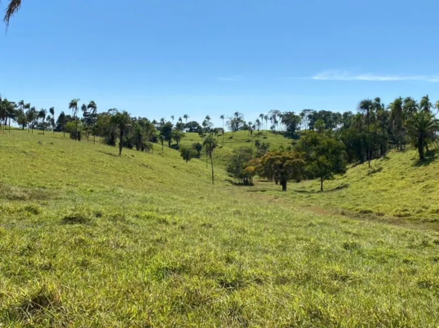 Foto 6 de Fazenda / Haras com 4 quartos à venda, 308m2 em Sao Luis De Montes Belos - GO