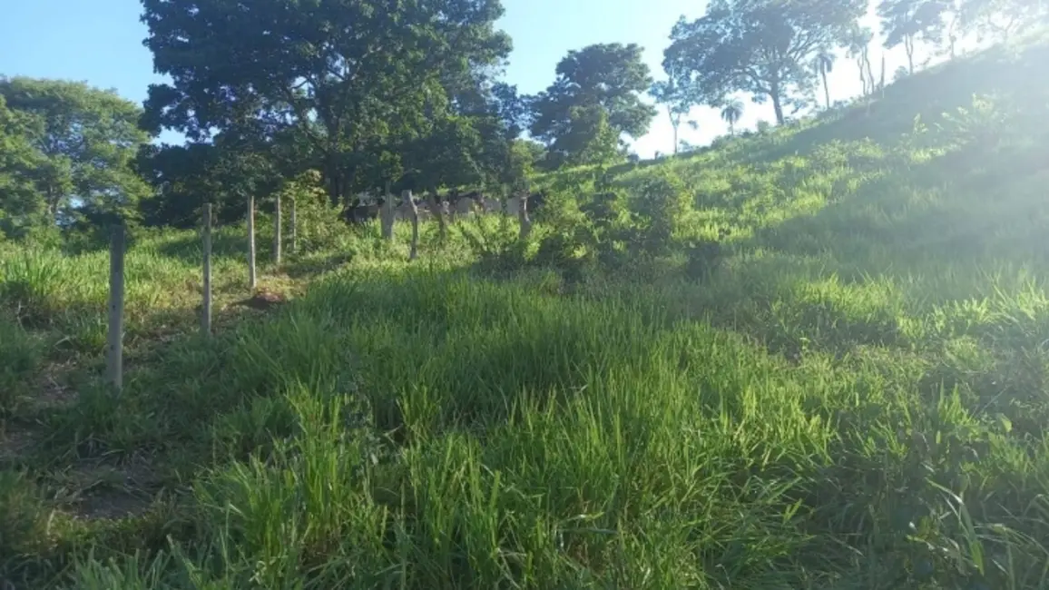 Foto 4 de Chácara à venda em Itapuranga - GO